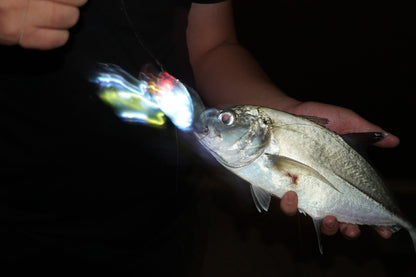 Striketek Fishing Ion Lure - The worlds first smart lure (Pre-order)